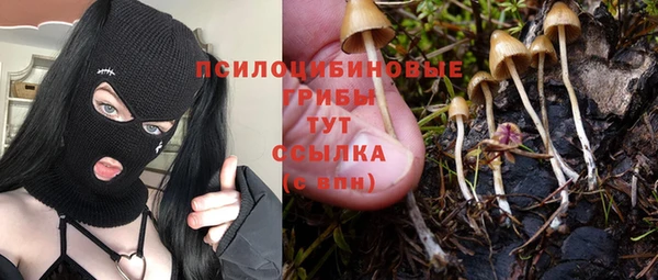 мескалин Сатка