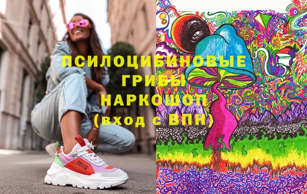 гидра Алексеевка